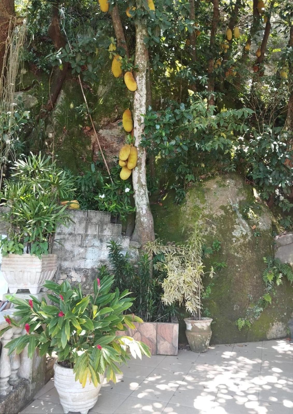 Casa Das Luzes Hostel Ivn Rio de Janeiro Kültér fotó